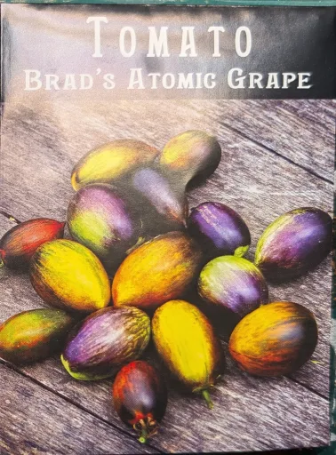 Brad's Atomic Cherry Tomato Seedling